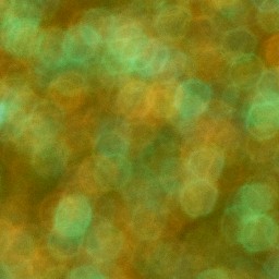 Bokeh-496